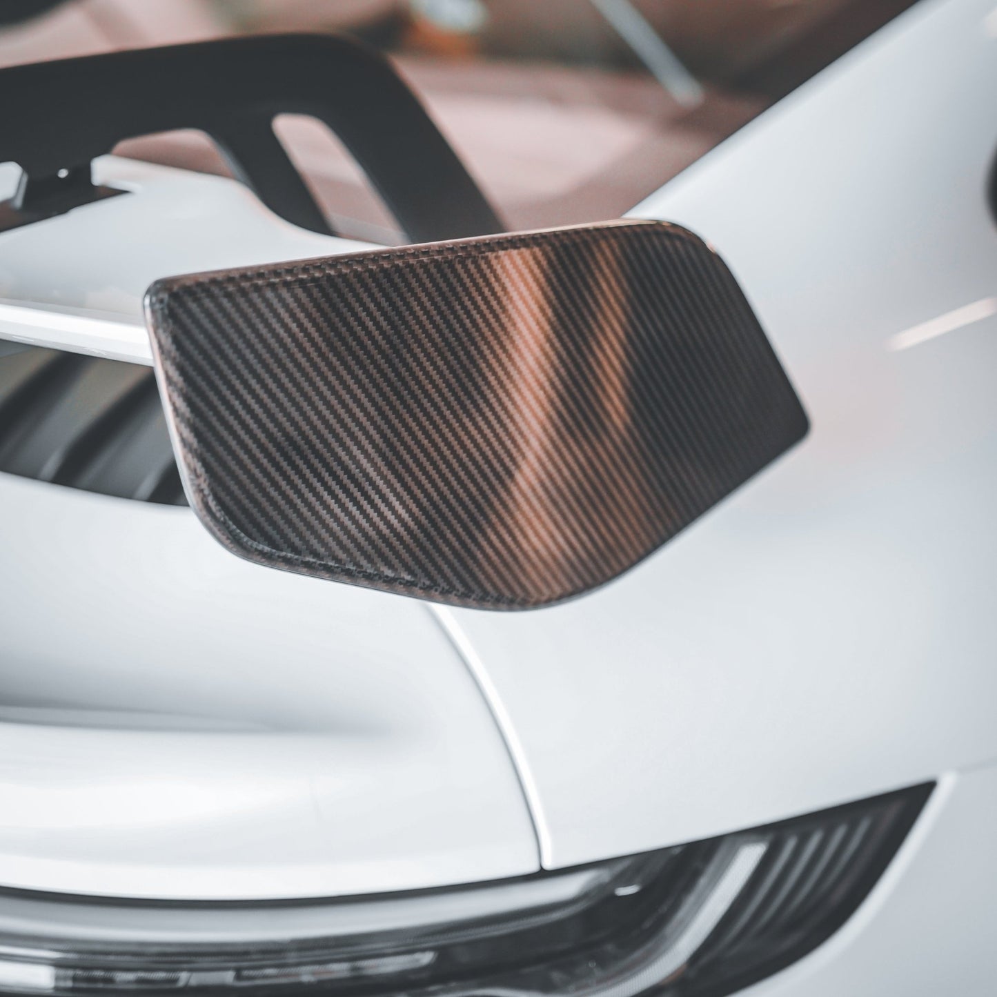 992 GT3 Carbon Fiber Wing Endplates